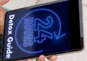 1-DAY Detox Miracle Guide