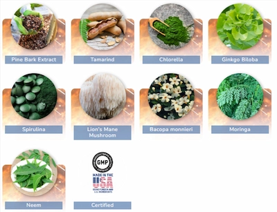 Pineal-Pure-Ingredients